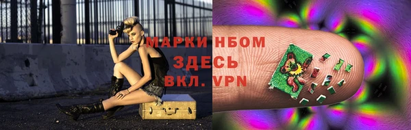 a pvp Каменногорск