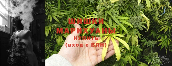 амф Каменка