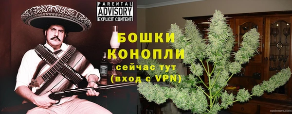 a pvp Каменногорск