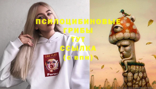 амф Каменка