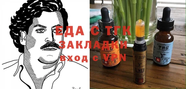 амф Каменка
