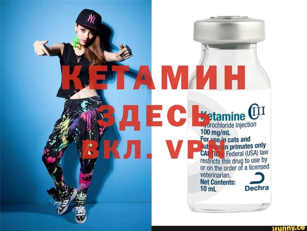 амф Каменка