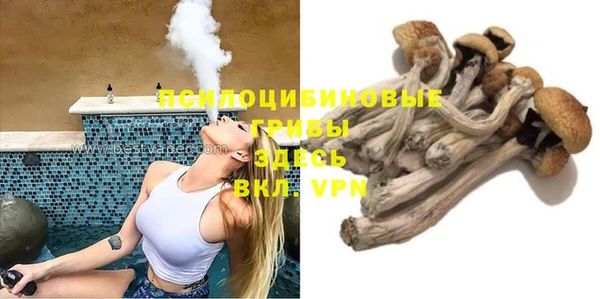 a pvp Каменногорск