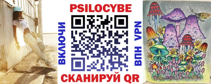 Псилоцибиновые грибы Cubensis  Купить закладки  Сычёвка 